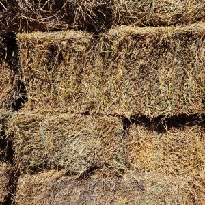 Lucerne Mulch Hay at Wood Galore - Newcastle, Hunter Valley, Central Coast