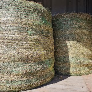 4 Foot Grassy Lucerne Bales - Horse Quality @ Wood Galore - Newcastle, Hunter Valley, Central Coast & Surrounding Suburbs