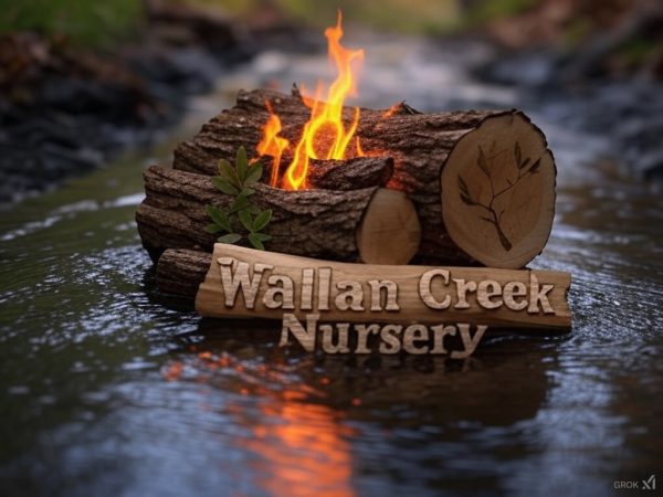 Wallan Creek Nursery