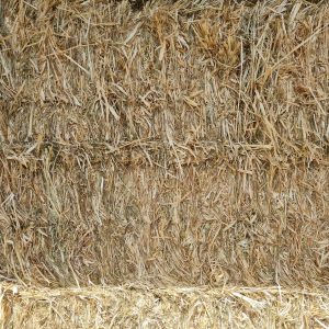 Premium Rye Grass & Oat Hay Bales at Wood Galore - Newcastle, Hunter Valley & Central Coast