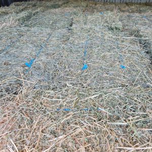 Grassy Lucerne Bales @ Wood Galore - Newcastle, Hunter Valley, Central Coast & Surrounding Suburbs