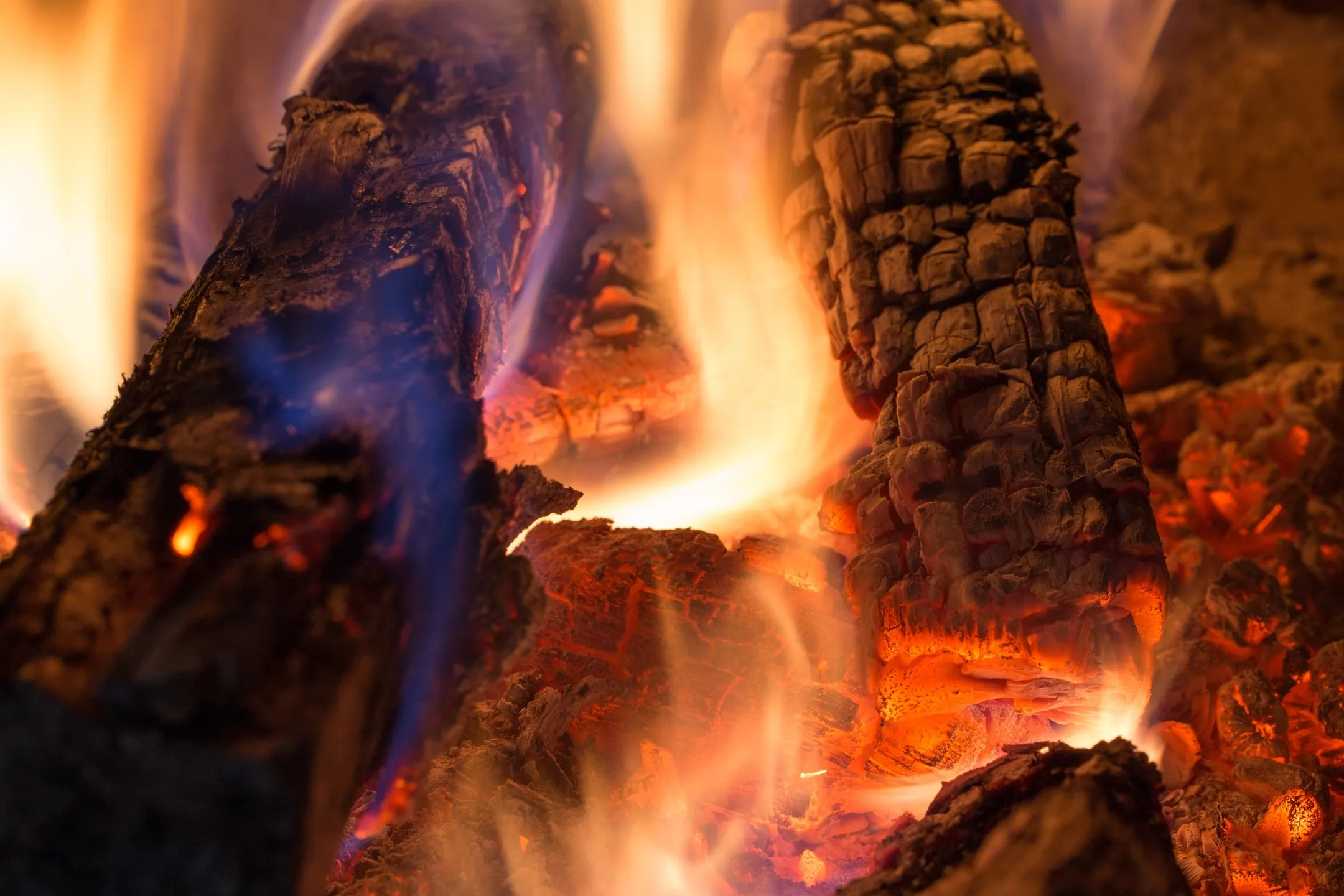 Mortos Firewood